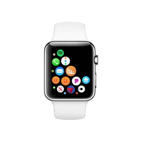 Apple Watch repair service